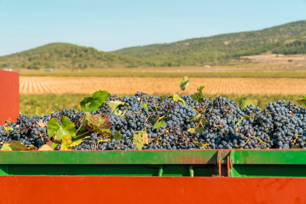 Mallorca in Autumn: Weather, Things to Do, and the Best Time to Visit in October and November